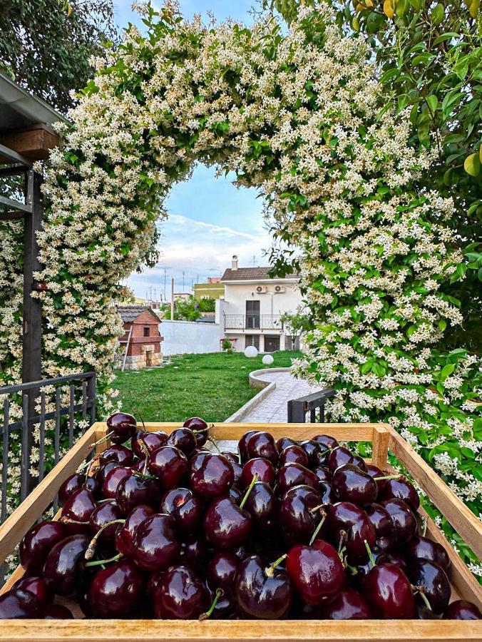 Villa Ardigo - Camera O Appartamento Bari Extérieur photo